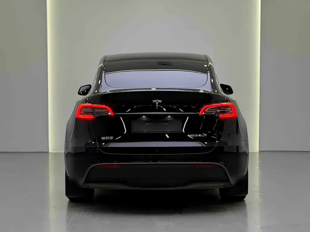 Tesla Model Y 2023 из CN, фото 10