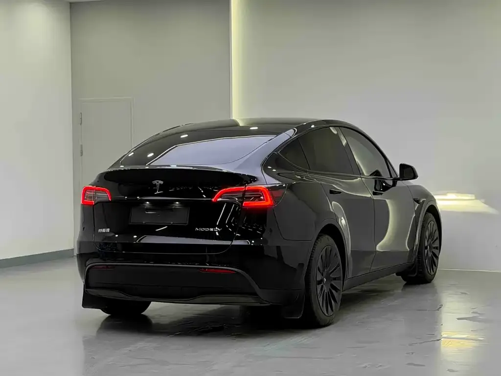 Tesla Model Y 2023 из CN, фото 3