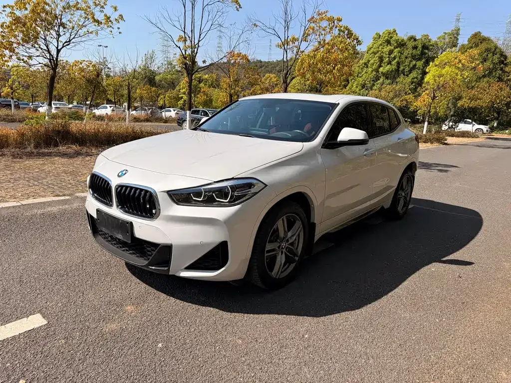 BMW X2 — фото 1