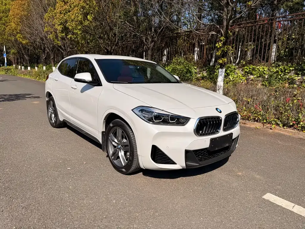 BMW X2 — фото 5