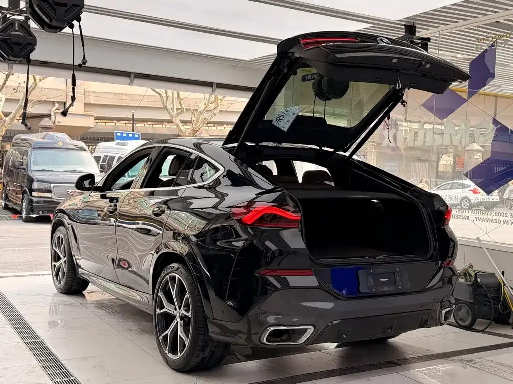 BMW X6 2021 из CN, фото 4