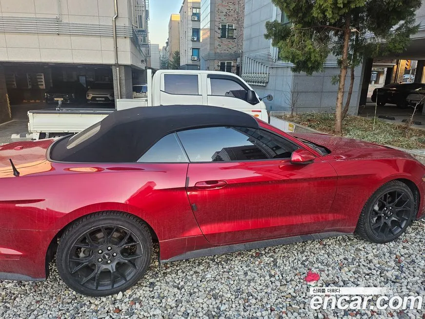 Ford Mustang 2021 из KR, фото 4