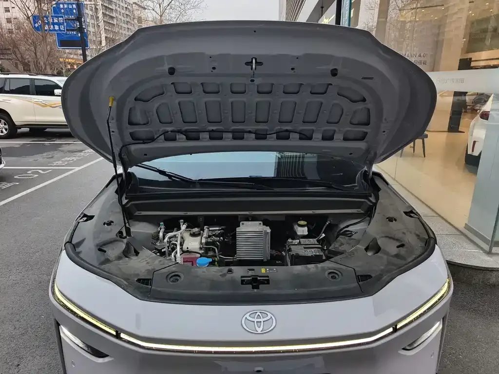 Toyota Platinum 3X 2025 из CN, фото 6