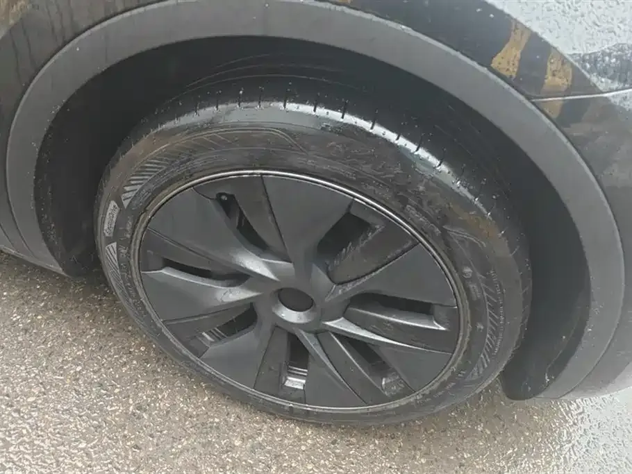Tesla Model Y 2024 из CN, фото 9