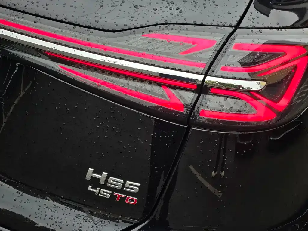 Hongqi HS5 2024 из CN, фото 3