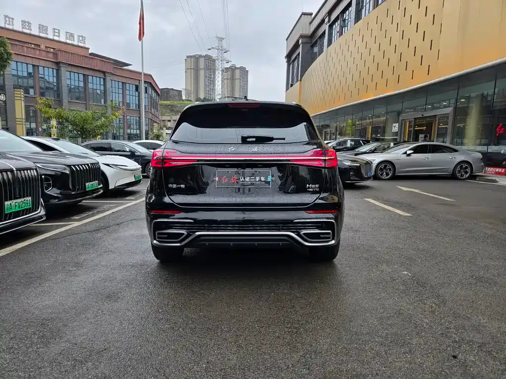 Hongqi HS5 2024 из CN, фото 9