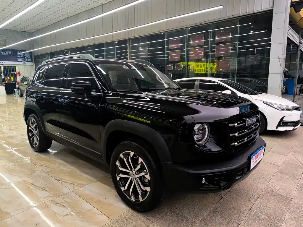 Haval Big Dog — фото 10