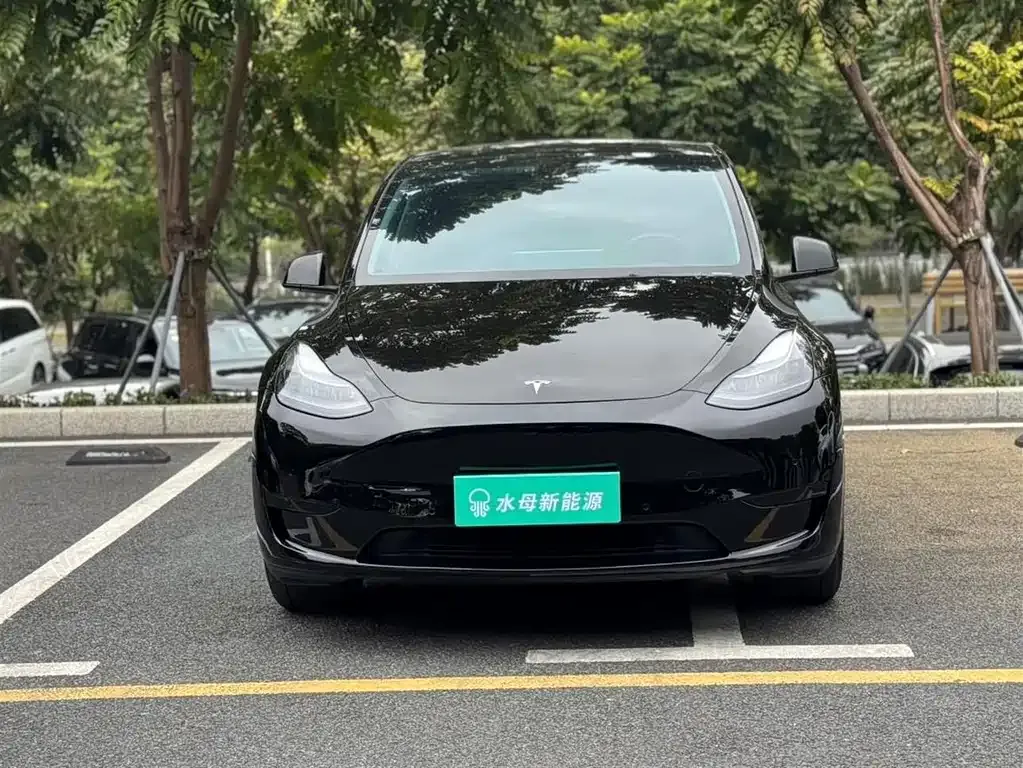 Tesla Model Y — фото 8