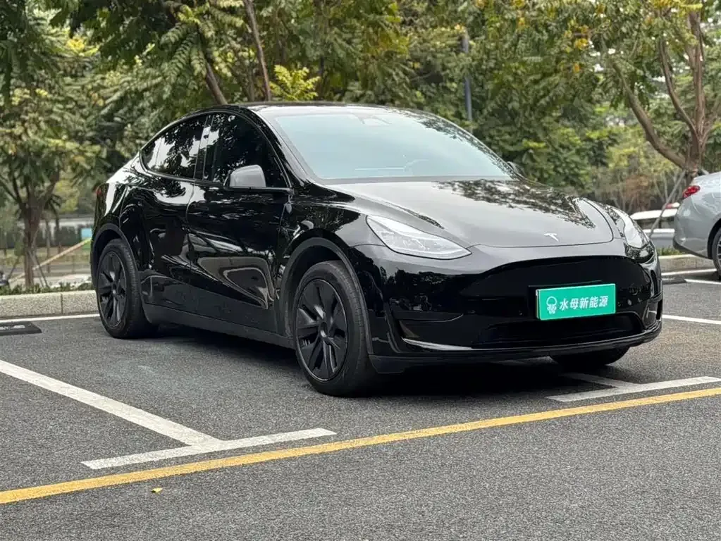 Tesla Model Y — фото 7