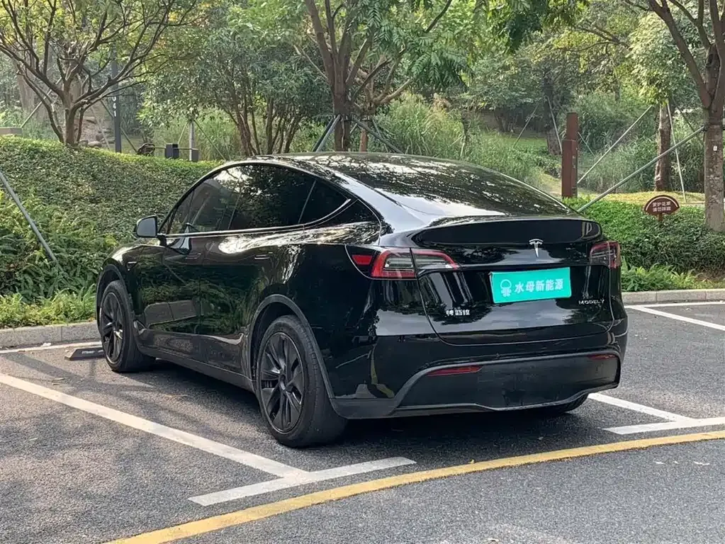 Tesla Model Y — фото 6