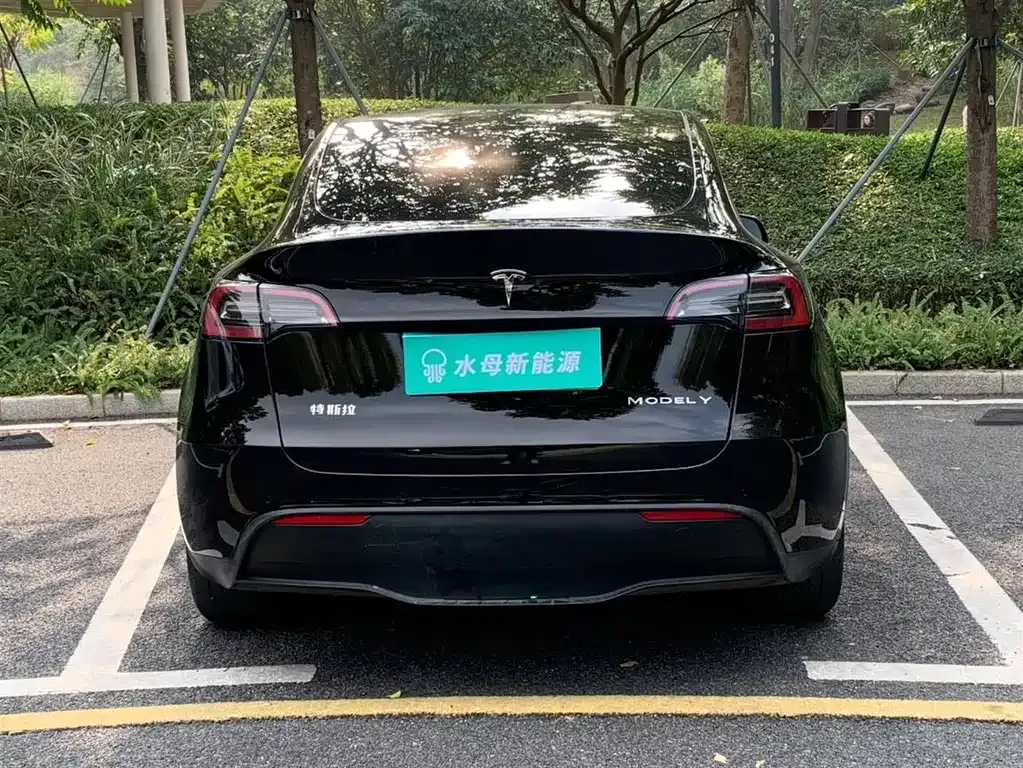Tesla Model Y — фото 3