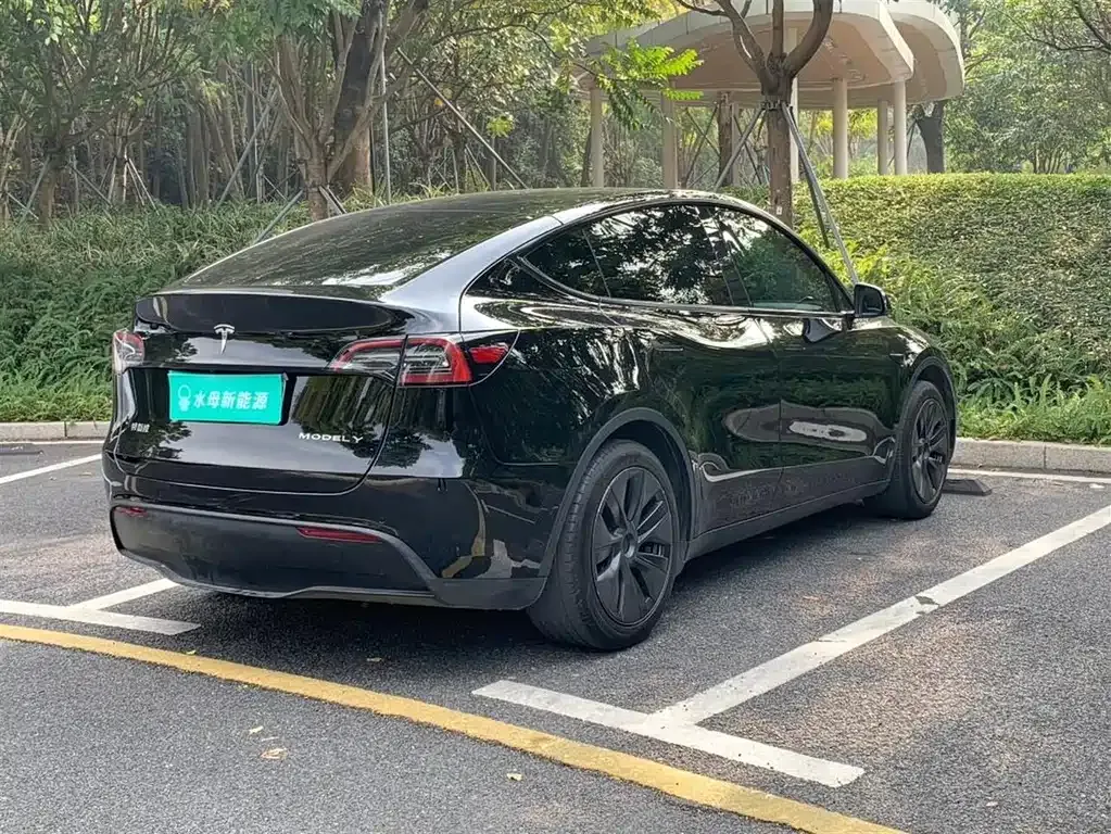 Tesla Model Y — фото 9