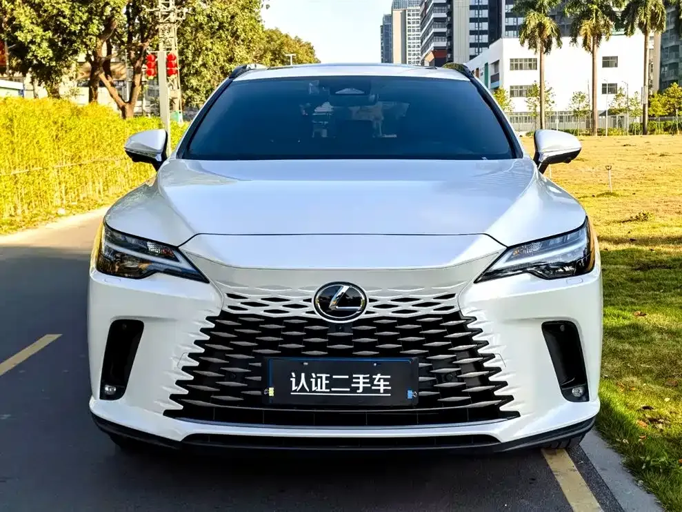 Lexus RX — фото 5