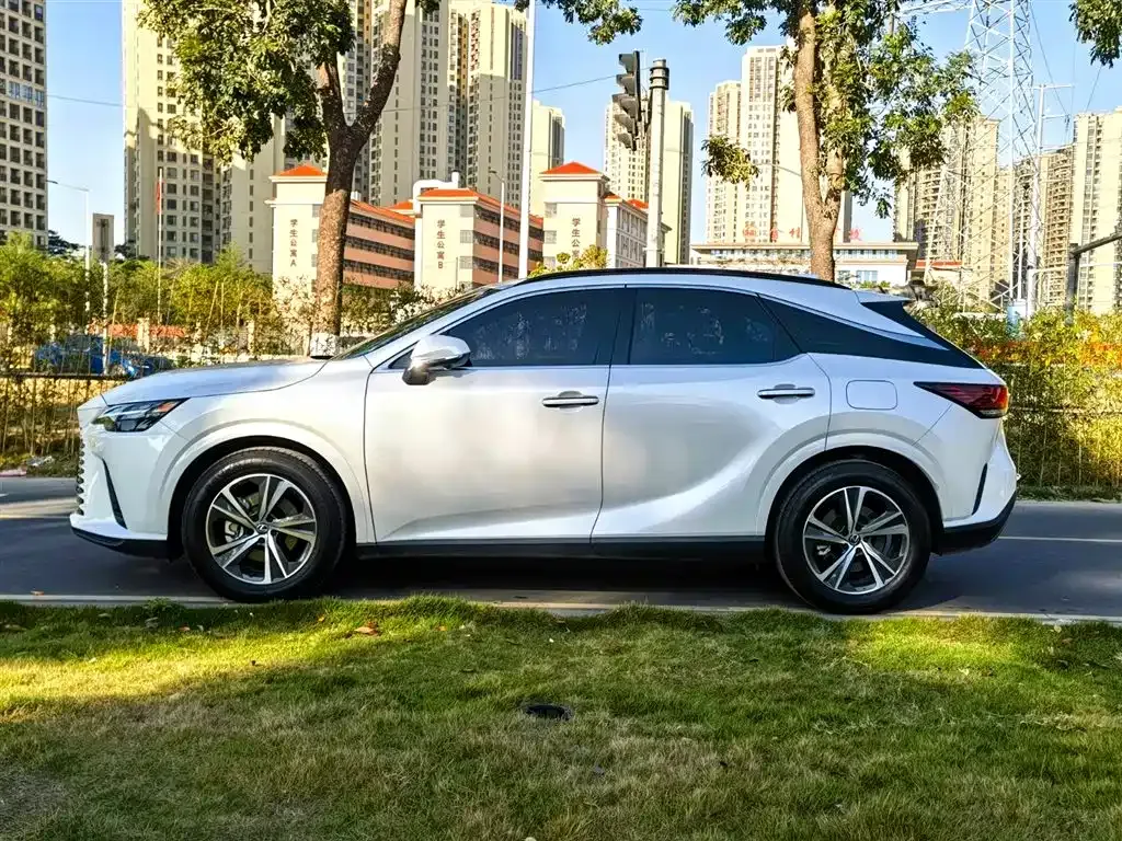 Lexus RX — фото 9