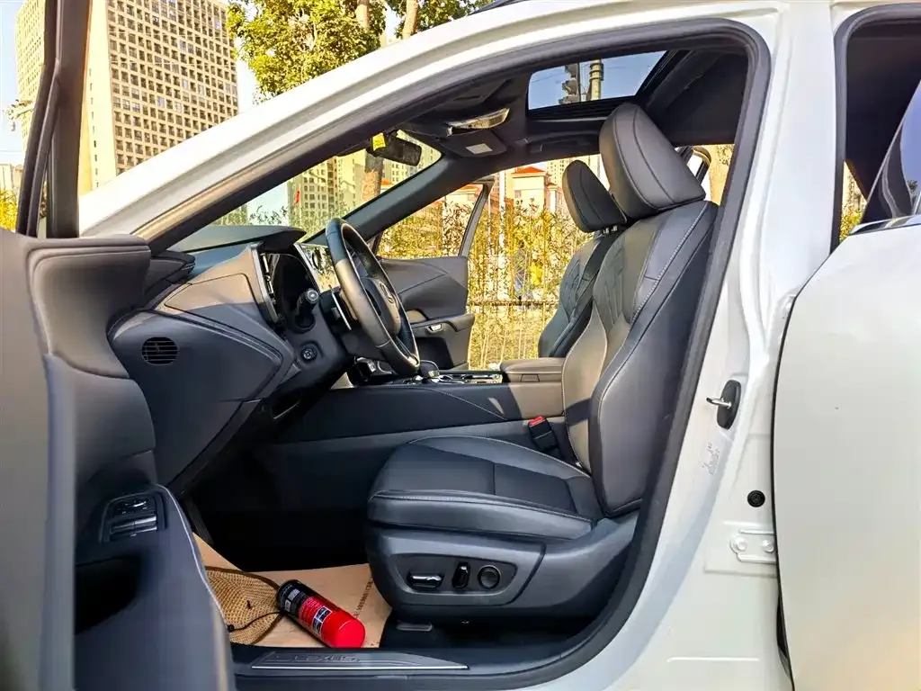 Lexus RX — фото 10