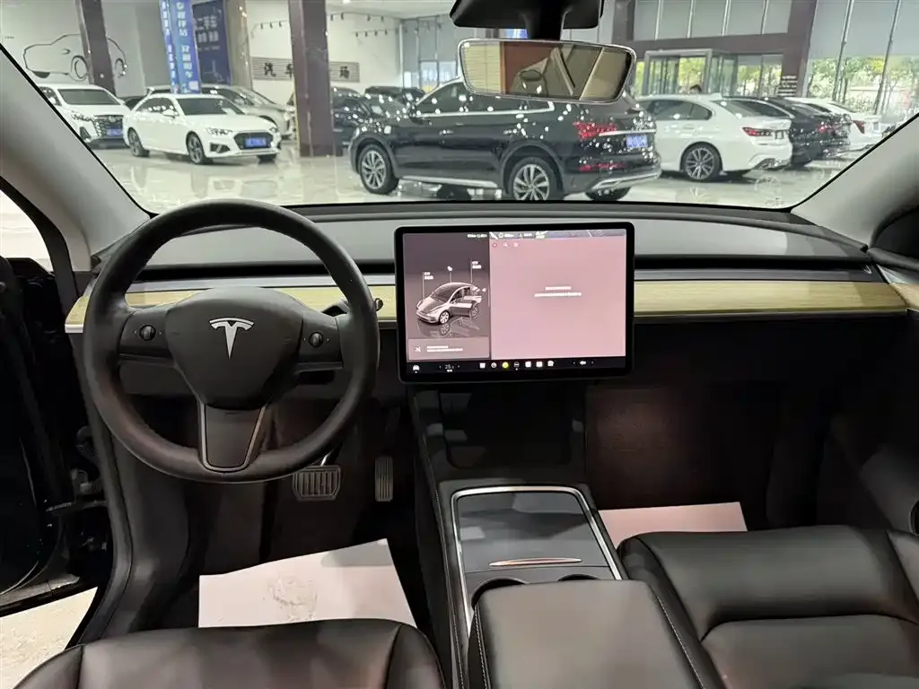 Tesla Model Y — фото 8