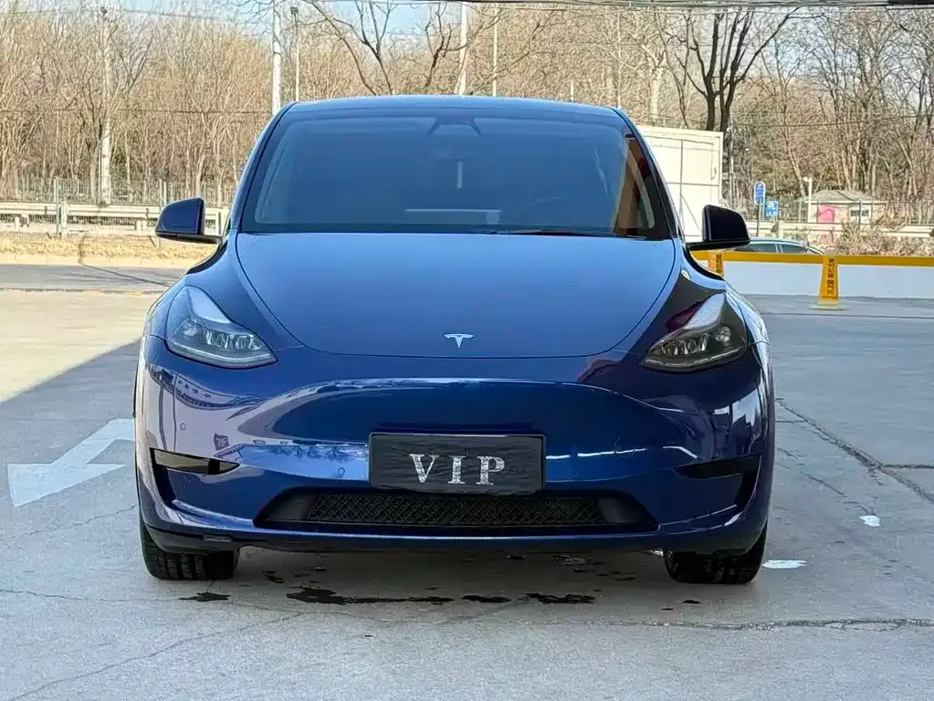 Tesla Model Y — фото 4