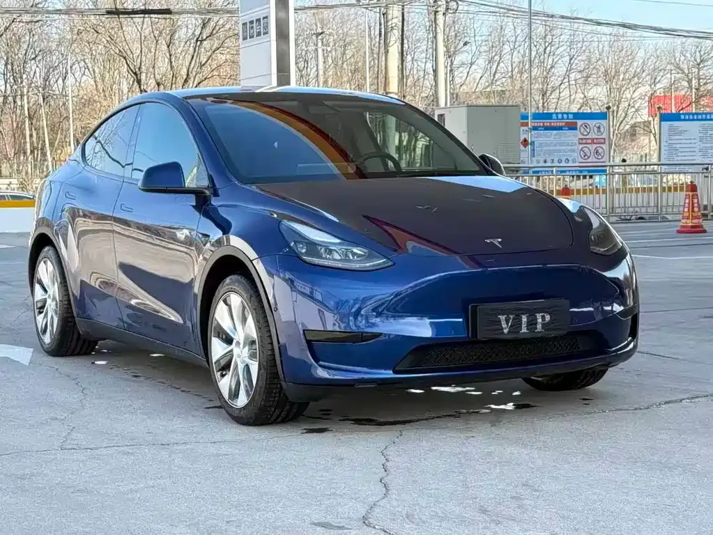 Tesla Model Y — фото 9