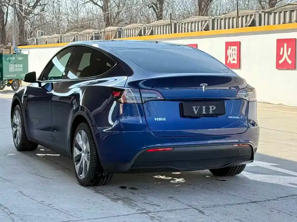 Tesla Model Y — фото 3