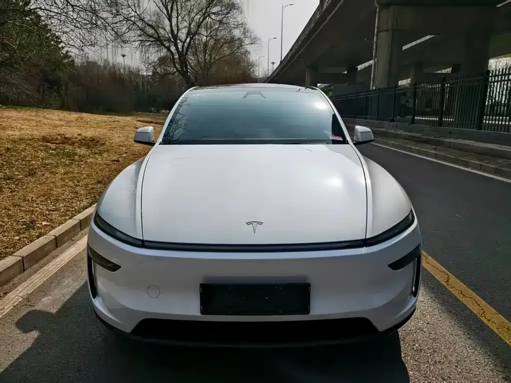 Tesla Model Y 2026 из CN, фото 1