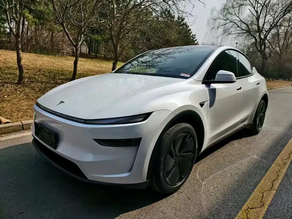 Tesla Model Y 2026 из CN, фото 5