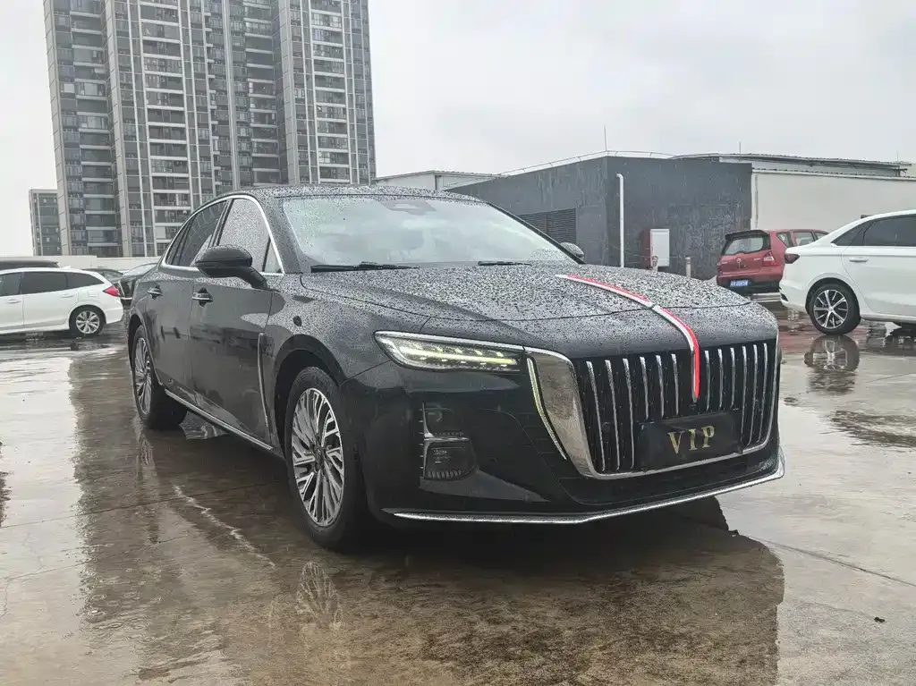 Hongqi H5 2023 из CN, фото 9