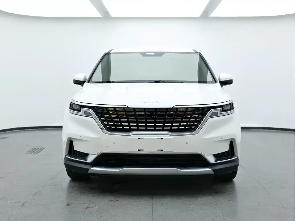 Kia Carnival 2023 из CN, фото 4