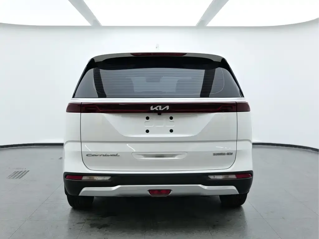 Kia Carnival 2023 из CN, фото 3