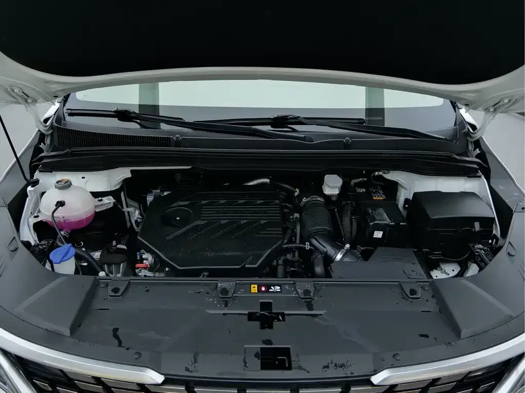 Kia Carnival 2023 из CN, фото 10