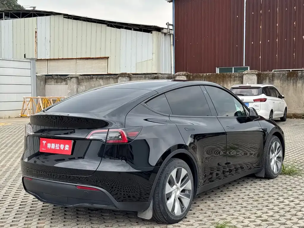 Tesla Model Y — фото 7