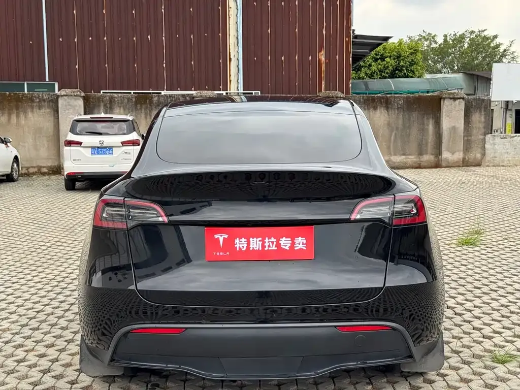 Tesla Model Y — фото 9