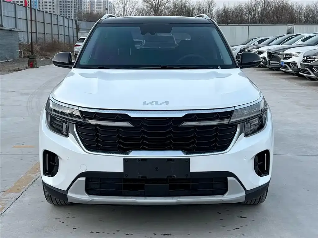 Kia Seltos 2023 из CN, фото 6