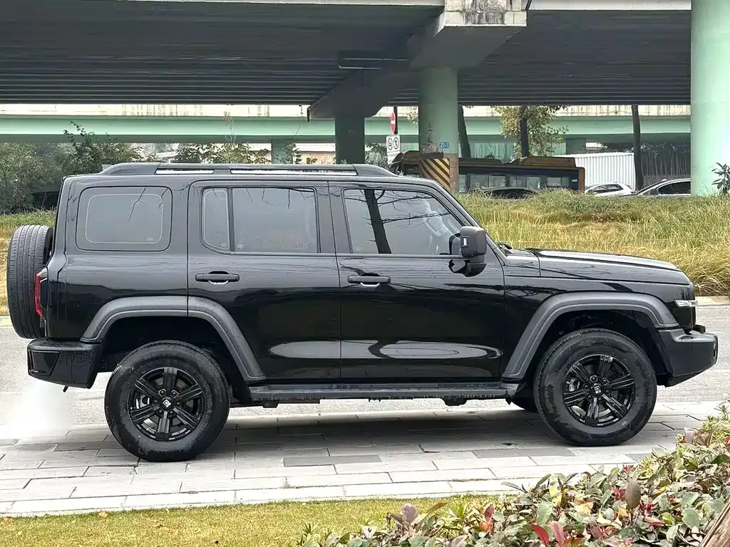 Tank 300 2023 из CN, фото 8