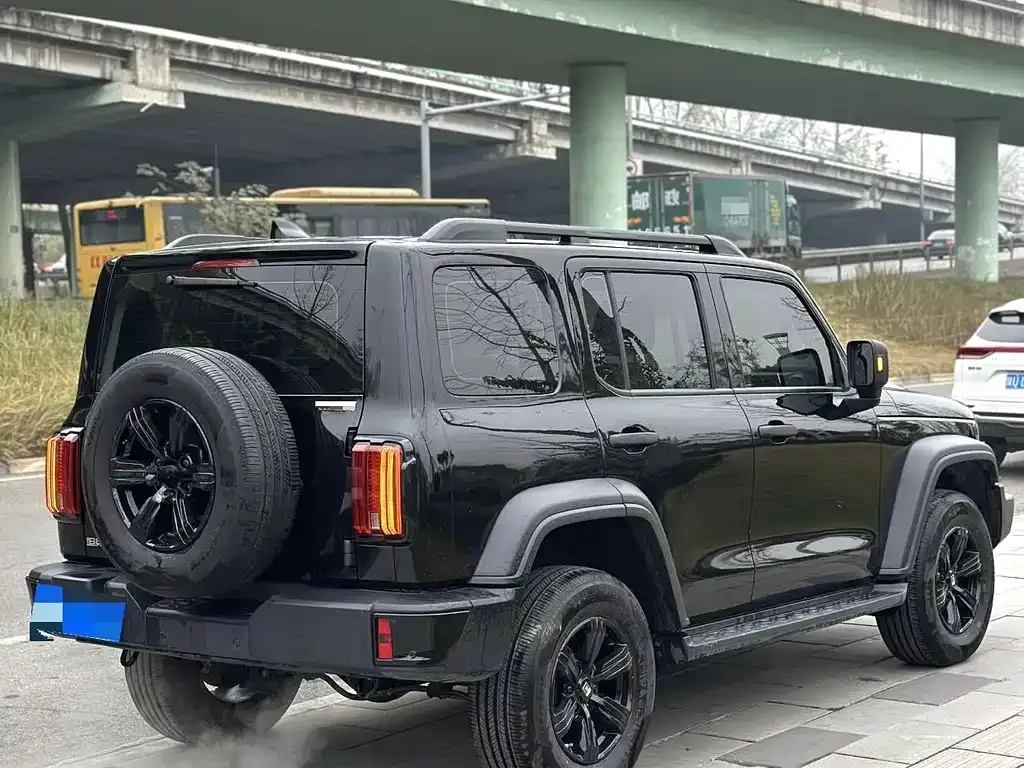 Tank 300 2023 из CN, фото 4