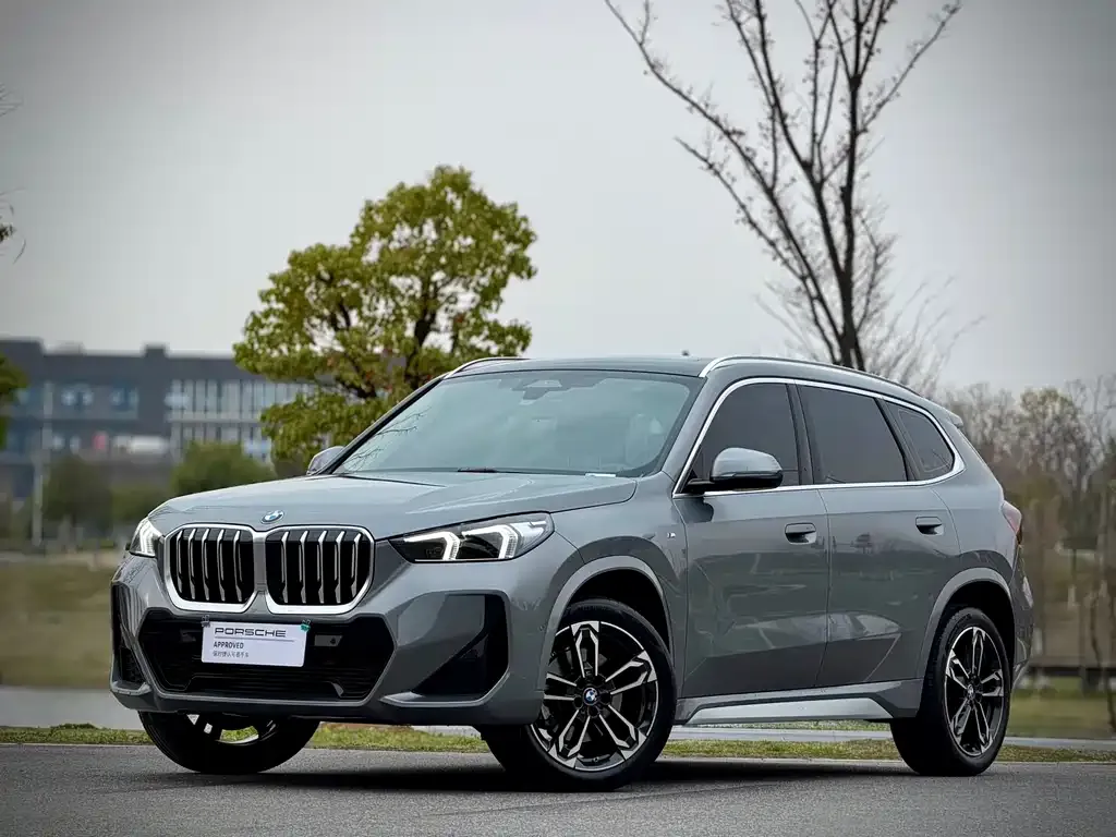 BMW X1 — фото 1