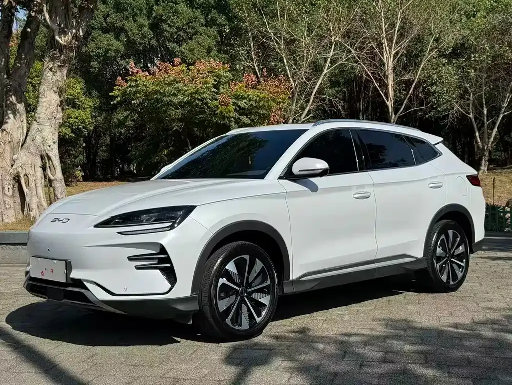 BYD PLUS New Energy — фото 1