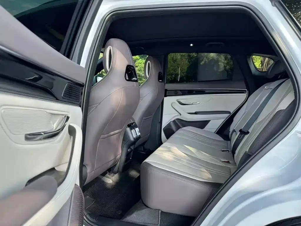 BYD PLUS New Energy — фото 6
