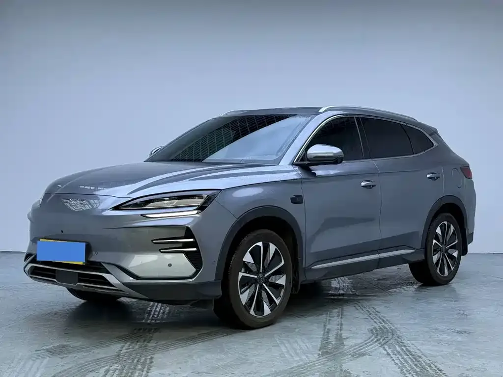 BYD PLUS New Energy — фото 1