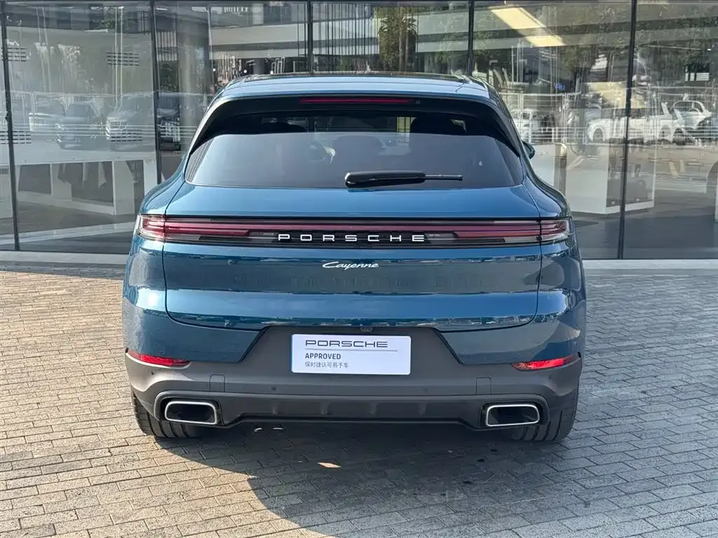 Porsche Cayenne — фото 10