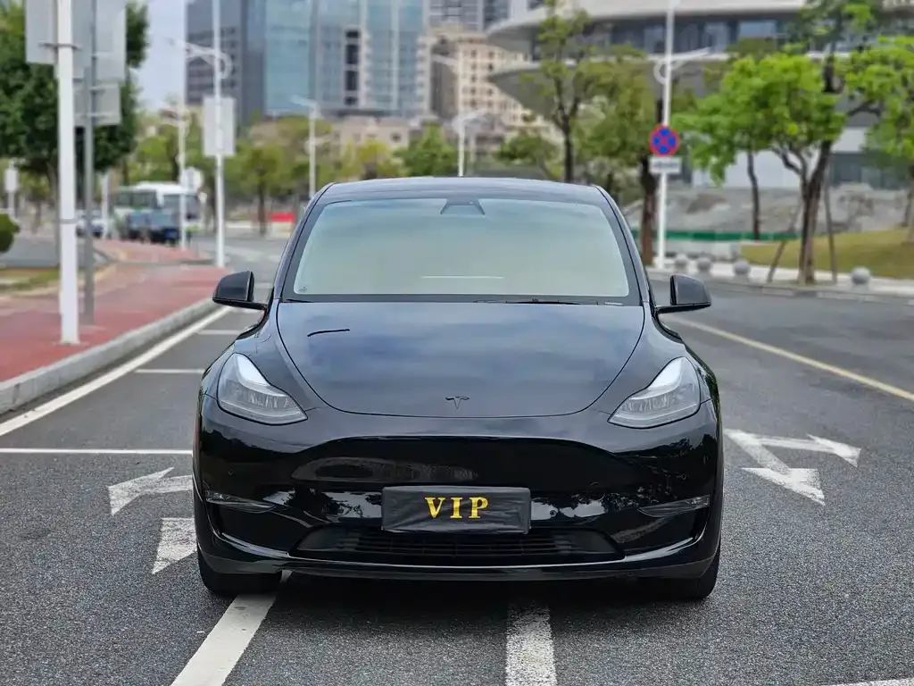 Tesla Model Y — фото 6