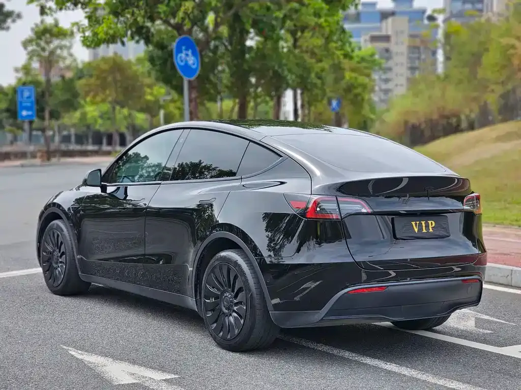 Tesla Model Y — фото 8
