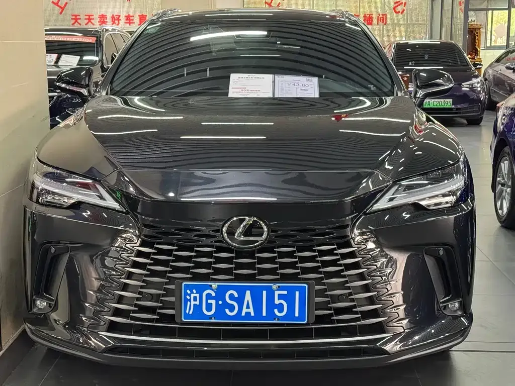 Lexus RX — фото 10