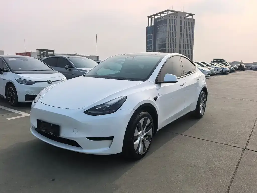 Tesla Model Y — фото 1