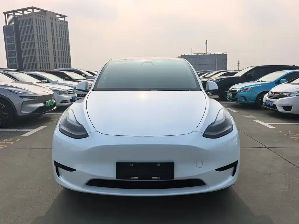 Tesla Model Y — фото 4