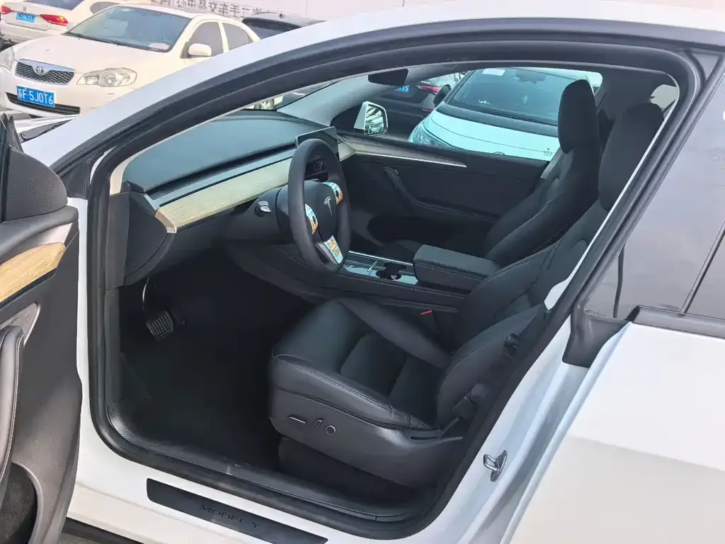 Tesla Model Y — фото 10