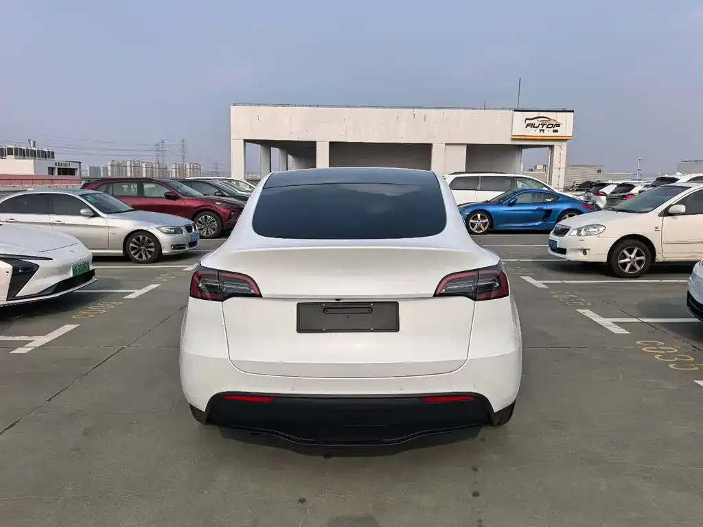 Tesla Model Y — фото 7