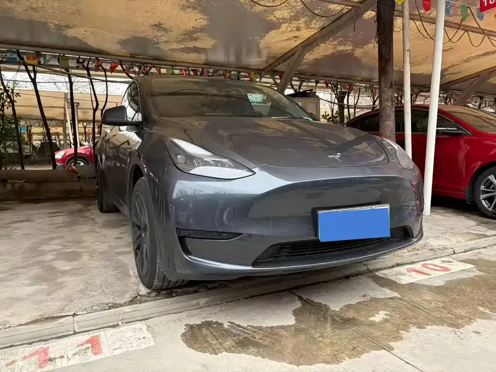 Tesla Model Y — фото 8