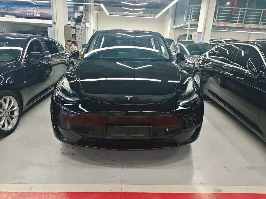 Tesla Model Y — фото 3
