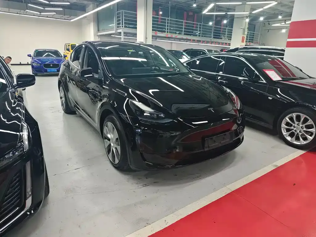 Tesla Model Y — фото 8