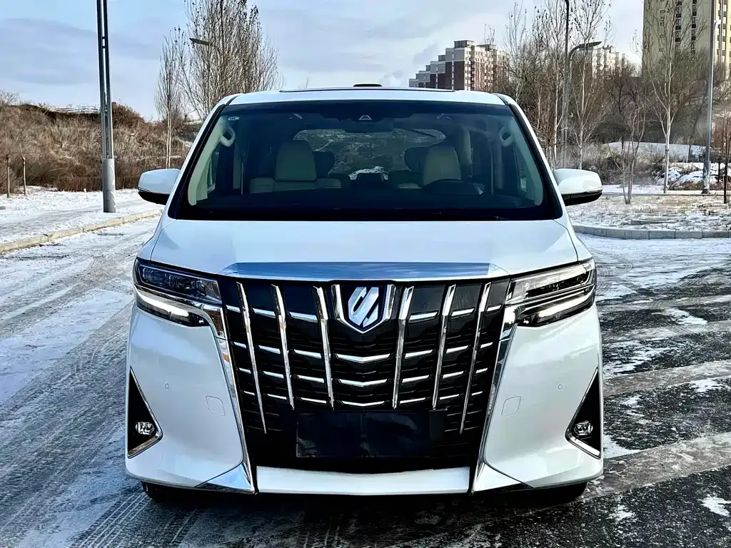 Toyota Alphard 2021 из CN, фото 8